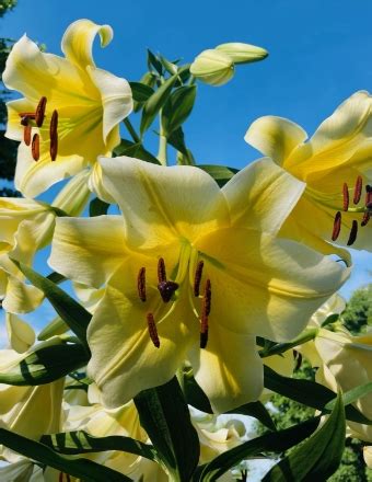 Oconomowoc, WI Funeral Home & Cremation | Pagenkopf Funeral Home