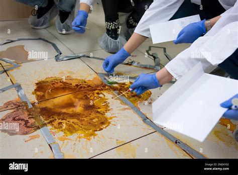 Forensic Science 的图像结果