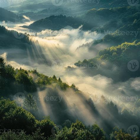 Beautiful Morning View 的图像结果