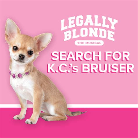 Starlight Searches For Kansas City's Bruiser Woods To Star In LEGALLY ...