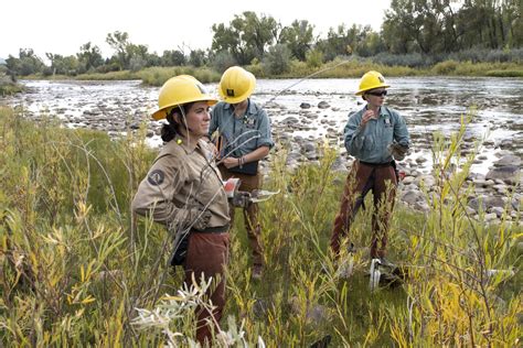Southwest Conservation Corps assists Tribe with invasive tree removal ...