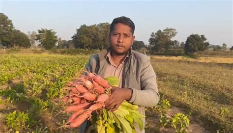 इस सब्जी की खेती कर कमाए लाखों का मुनाफा, एमपी के किसान ने कम मेहनम में ...