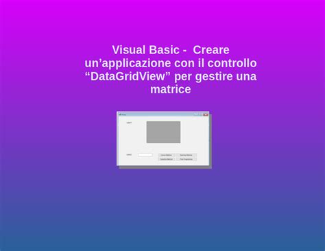 DataGridView Visual Basic 的图像结果