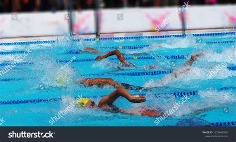 Swimming Athletes 的图像结果