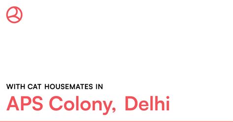 With cat housemates in APS Colony, Delhi – Roomies.co.in