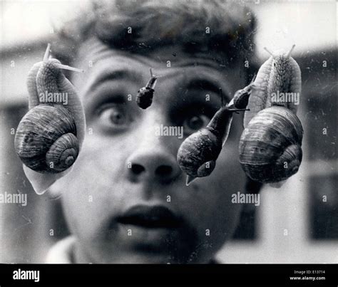 2012 high speed snails hi-res stock photography and images - Alamy