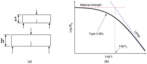 A Size and Boundary Effects Model for Quasi-Brittle Fracture