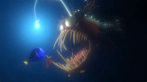Anglerfish (Finding Nemo) | Fictional Characters Wiki | Fandom