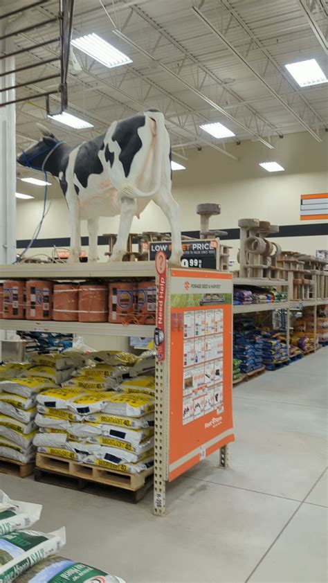 FLEET FARM - Blaine MN - Hours, Directions, Reviews - Loc8NearMe