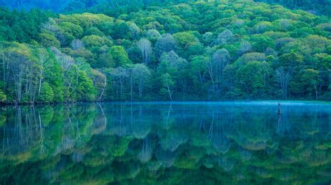 Bing Wallpaper HD 的图像结果