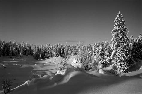 Snow Bride Watch Free 的图像结果