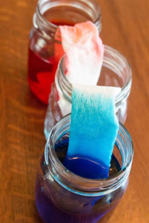 How to Science Experiments 的图像结果