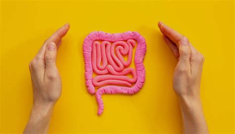 Gut Hormones and Their Role in Weight Loss – thegoodbug