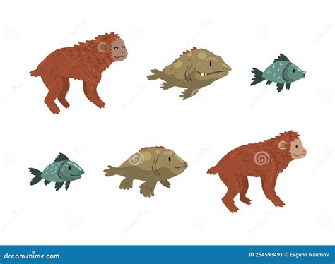 Image result for Fish Evolution Human Animation