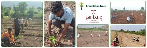 Nature’s Sparkle: Tattva Jewellers' Green Gift to Customers – Grow ...