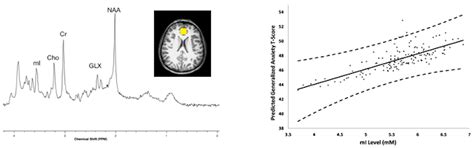 Pediatric Exposures to Neurotoxicants: A Review of Magnetic Resonance ...