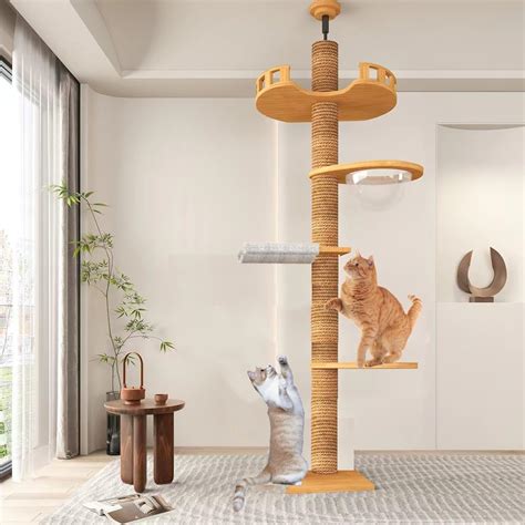 Amazon.com : Large Cat Tree Floor to Ceiling， Cat Tower Height ...