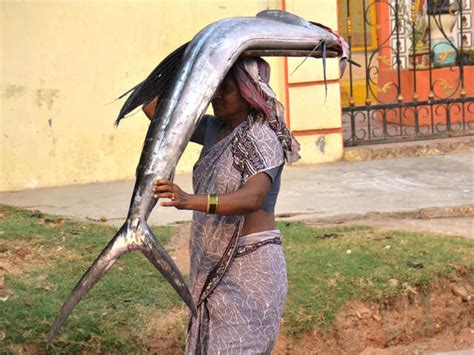 What happens when you eat fish laced with formalin - Fish and formalin ...