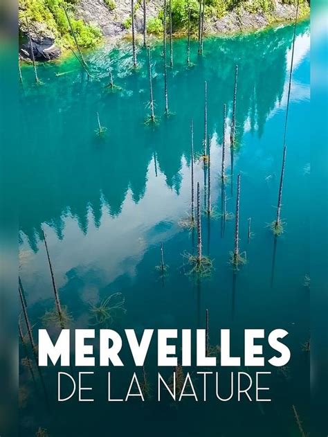 La Nature 的图像结果