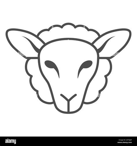 Sheep Head Drawing