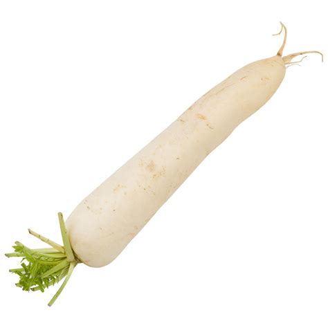 White Radish Vegetable When To Harvest Daikon Radish From Your