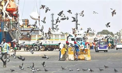 Horn of Africa: Strategic port deal could trigger conflict