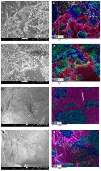Coatings | Special Issue : Bio-Based and Bio-Inspired Polymers and ...