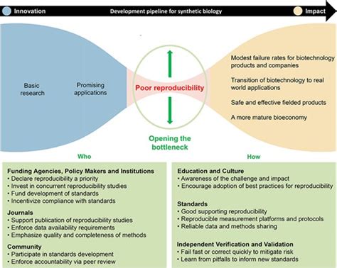 Reproducibility 的图像结果