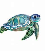 Image result for Famous Tate Turtle