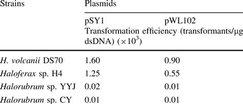Image result for Transformation Efficiency Formula