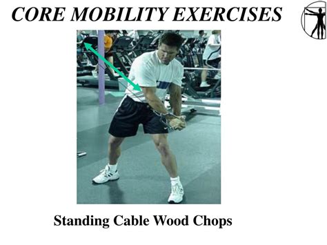 Image result for Core Isolation Exercises