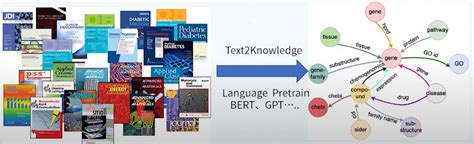 Language Information and Knowledge 的图像结果