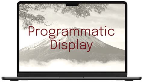 Display Programs 的图像结果