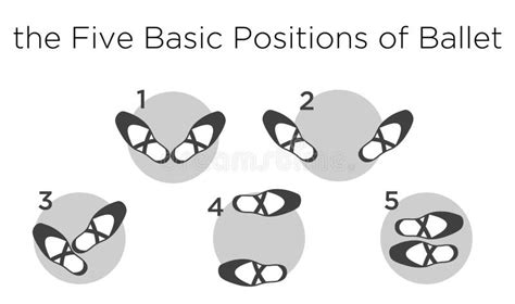 Image result for Ballet Tutorial Basic Positions