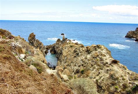 Spanish Python Code 的图像结果