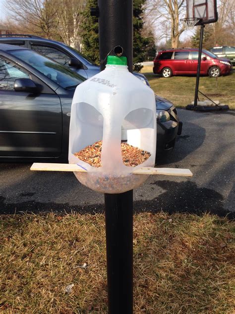 Simple Homemade Bird Feeders