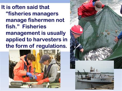 Fisheries 的图像结果