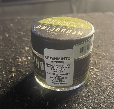 Mendocino Flower Review - Well Rounded