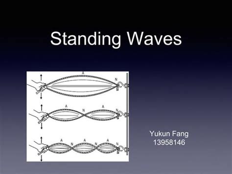 Simple Wave Function 的图像结果