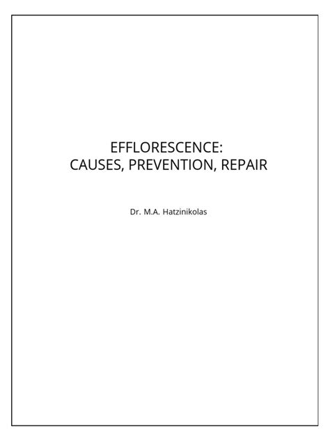 Image result for Efflorescence Repair