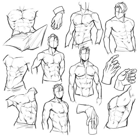 Male Torso Reference