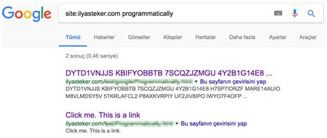 Google JavaScript 的图像结果
