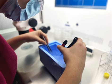 Cloning Reproduction 的图像结果