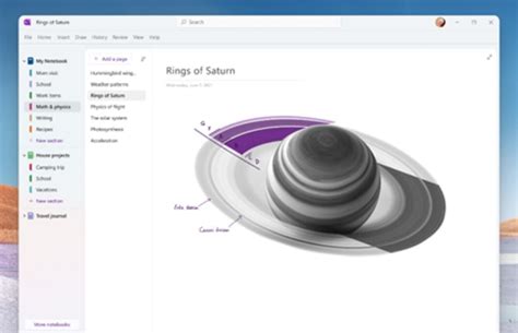 Image result for How Does It Look OneNote Files in Windows 11