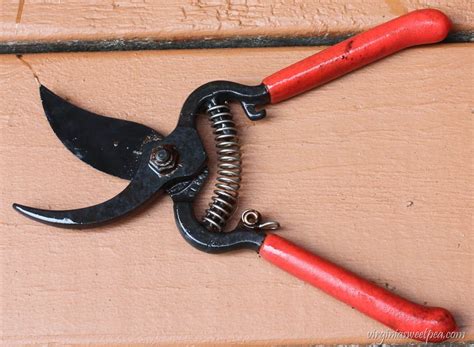 Remove Rust From Tools 的图像结果