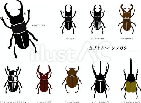 Image result for Guess Number Game Using Python E