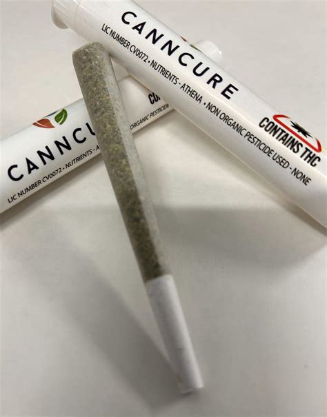 Grand Daddy Purple Logo