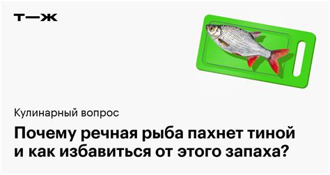 Почему речная рыба пахнет тиной и как убрать запах при готовке
