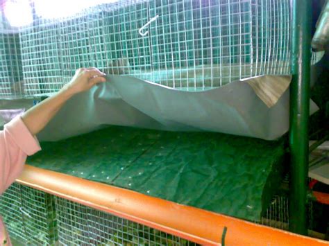 Raising Rabbits: Rabbit Housing: Cages on the Right Wall