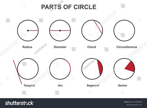 Different Parts Circle Radius Diameter Circumference Stock Vector (Royalty Free) 2270592905 ...